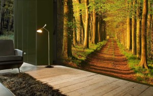 Изображение дороги леса для оформления гостиной комнаты