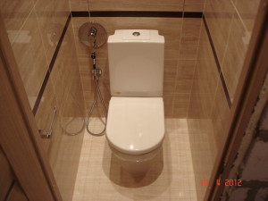 Гигиенический душ для туалета
