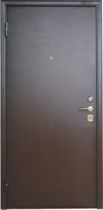 Качественная железная дверь